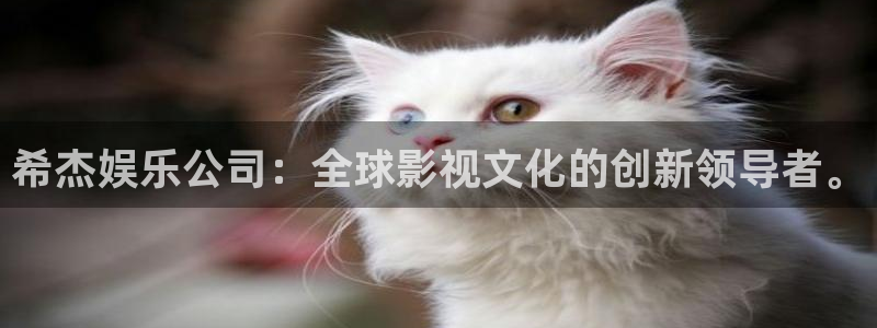 星亿娱乐注册：希杰娱乐公司：全球影视文化的创新领导者。