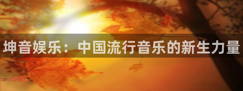 星亿娱乐登录：坤音娱乐：中国流行音乐的新生力量