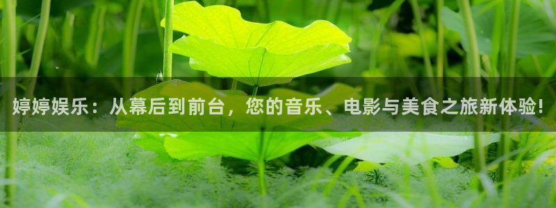 星亿娱乐注册：婷婷娱乐：从幕后到前台，您的音乐、电影与美食之旅新体验!