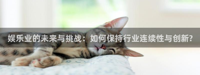 星亿娱乐官网登录入口：娱乐业的未来与挑战：如何保持行业连续性与创新?