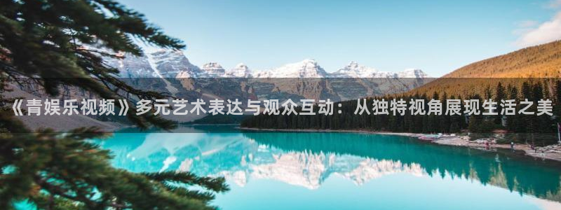 星亿娱乐登陆：《青娱乐视频》多元艺术表达与观众互动：从独特视角展现生活之美