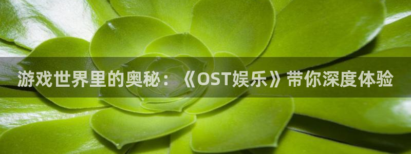 星亿娱乐注册：游戏世界里的奥秘：《OST娱乐》带你深度体验
