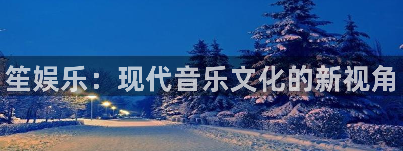 星亿娱乐平台：笙娱乐：现代音乐文化的新视角